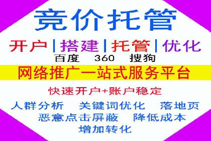 SEM托管公司案例研究：优化策略解析