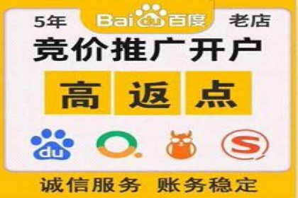 揭秘成功之道：竞价推广公司经典案例分享